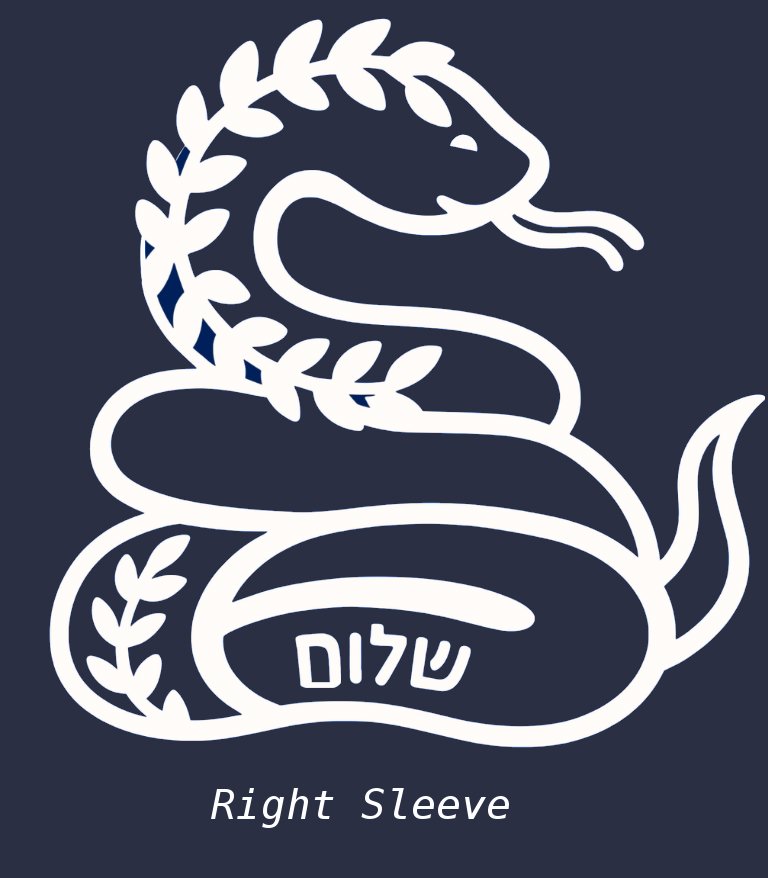 Southern Shalom T-Shirt
